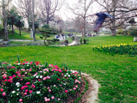 「パリの公園」
